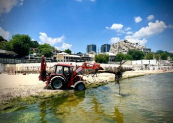 В отобранных в Одессе пробах морской воды обнаружен холероподобный вибрион — горсовет