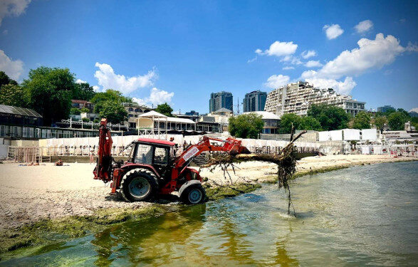 В отобранных в Одессе пробах морской воды обнаружен холероподобный вибрион — горсовет