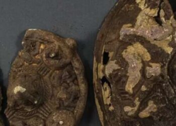 В Норвегии пара нашла в своем саду артефакты эпохи викингов