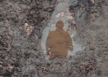 Реєстр зниклих безвісти за особливих обставин налічує 28 тисяч осіб — МВС