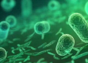 Уже более 100 с начала июня: в Минздраве рассказали о положительных находках холероподобного вибриона