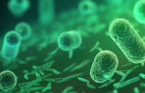 Уже более 100 с начала июня: в Минздраве рассказали о положительных находках холероподобного вибриона