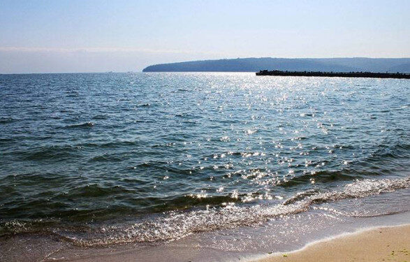 В течение месяца-полутора: в Минздраве рассказали, когда качество воды в Черном море может выйти на доаварийные показатели