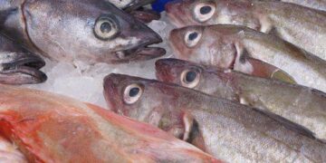 Росія захопила до 90% рибальських ресурсів України