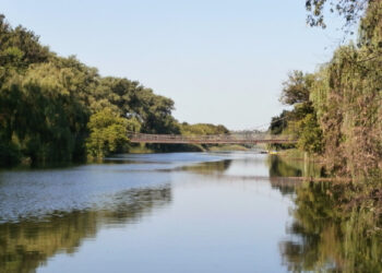 Экологи исследовали воду в Ингульце: кислорода меньше нормы, а нефтепродуктов не обнаружено