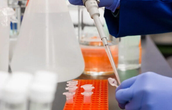 В пострадавших в результате подрыва Каховской ГЭС районах открыли инфекционные хабы: кого будут принимать