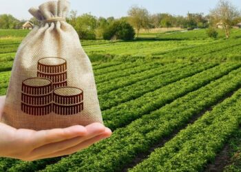 Фізичним особам час сплачувати мінімальне податкове зобов’язання