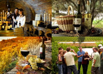 На Одещині попри війну розвиватимуть еногастрономічний туризм — Новини Одеської області