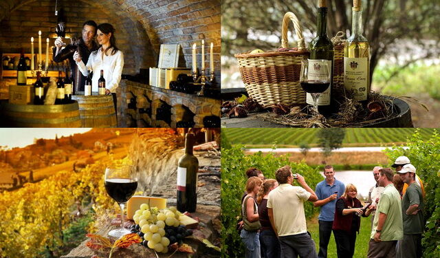 На Одещині попри війну розвиватимуть еногастрономічний туризм — Новини Одеської області