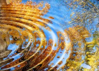 На Одещину повертається літо: як довго протримається тепло