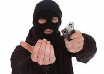 Отруїли собаку, прикували дітей кайданками й винесли майже 100 тис. доларів: на Одещині напали на сім’ю підприємця