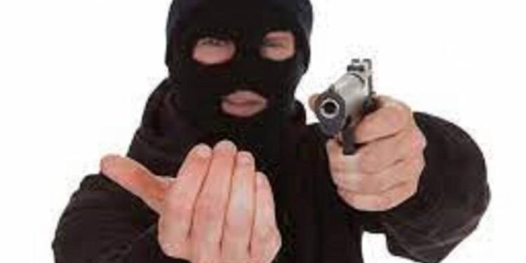 Отруїли собаку, прикували дітей кайданками й винесли майже 100 тис. доларів: на Одещині напали на сім’ю підприємця