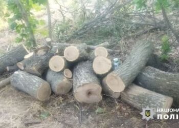 У лісосмузі на Одещині незаконно вирубали дерева | Надзвичайні події Одесса та область