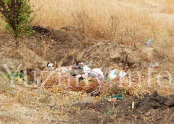 В Южному розпочато розробку проекту щодо благоустрою військового цвинтаря | YНовини одещіни