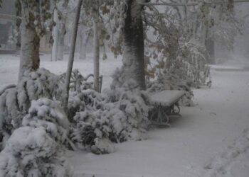 Ізмаїл бореться з негодою: що у нас зі світлом, транспортом та школами