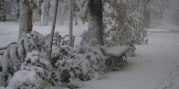Ізмаїл бореться з негодою: що у нас зі світлом, транспортом та школами