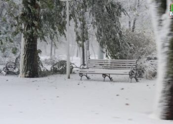 Негода в Ізмаїльському районі: працює оперативний штаб
