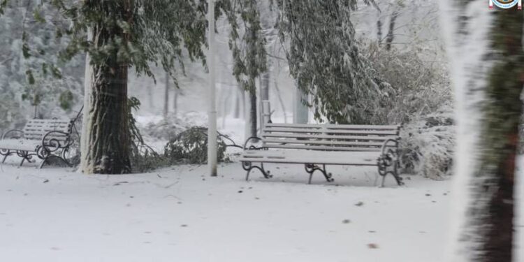 Негода в Ізмаїльському районі: працює оперативний штаб