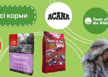 MyPetsi: як вибрати найкращий сухий корм для вашого улюбленця