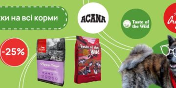 MyPetsi: як вибрати найкращий сухий корм для вашого улюбленця