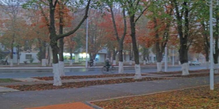 Синоптики прогнозують на Одещині дощовий і прохолодний тиждень