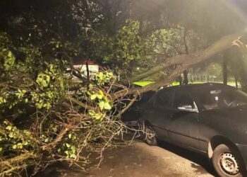 В Южному негода поламала дерева та пошкодила вуличне освітлення | YНовини одещіни