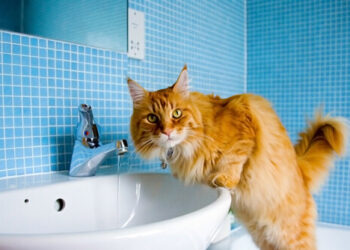 В Одесі сьогодні вночі будуть відключати електроенергію і воду | Одеський Монітор