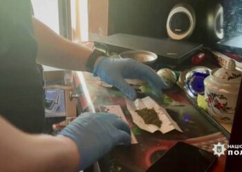 Зберігав удома незаконну зброю, боєприпаси та наркотики: жителеві Ізмаїла загрожує сім років в’язниці