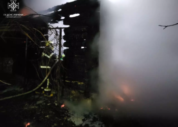 У селі на Житомирщині рятувальники під час ліквідації пожежі натрапили на тіло жінки. ФОТО | Кримінальні новини