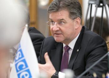 Зеленський зустрівся з головою ОБСЄ для обговорення заходів щодо встановлення миру на Донбасі