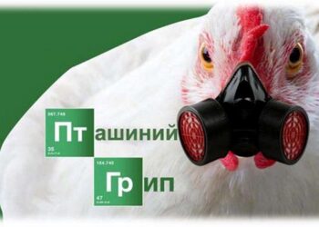 Пташиний грип