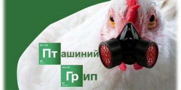 Пташиний грип