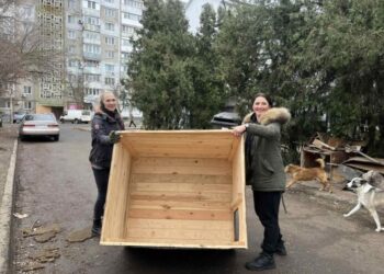 Тепла зима: благодійники передали в Южне будки для безпритульних тварин | YНовини одещіни