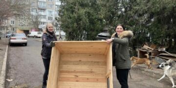 Тепла зима: благодійники передали в Южне будки для безпритульних тварин | YНовини одещіни