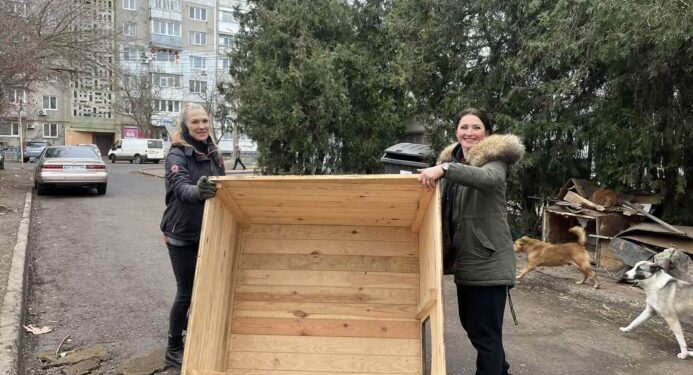 Тепла зима: благодійники передали в Южне будки для безпритульних тварин | YНовини одещіни