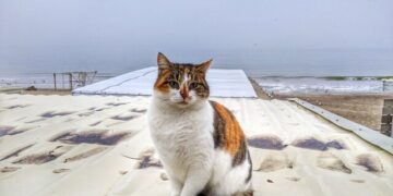 В Одесі очікують штормову погоду | Одеський Монітор