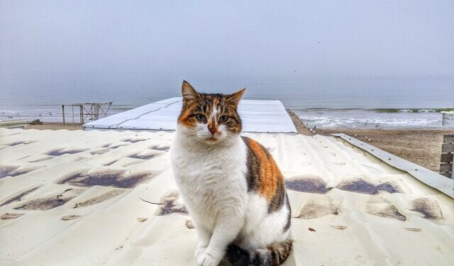 В Одесі очікують штормову погоду | Одеський Монітор