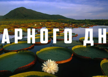 гарного дня - листівка вітальна