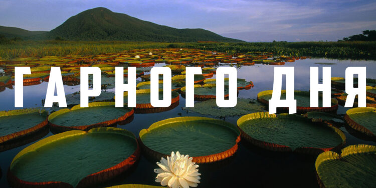 гарного дня - листівка вітальна