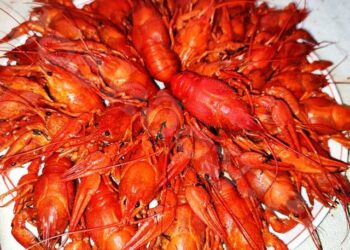 Продавав в Інтернеті неіснуючих раків: поліцейські викрили жителя Ізмаїла у шахрайстві