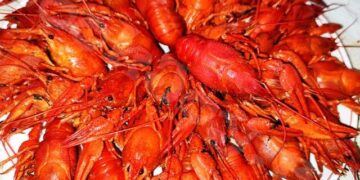 Продавав в Інтернеті неіснуючих раків: поліцейські викрили жителя Ізмаїла у шахрайстві