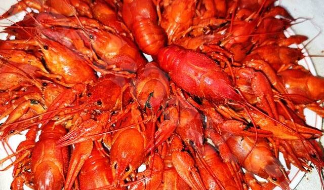 Продавав в Інтернеті неіснуючих раків: поліцейські викрили жителя Ізмаїла у шахрайстві