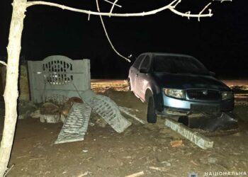 Скоїв ДТП та погрожував людині гранатою — на Миколаївщині затримано водія-дебошира | Кримінальні новини