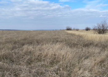 Прокуратура Миколаївщини повернула навчальному закладу 44 га сільгоспземель вартістю 7,6 млн грн | Кримінальні новини