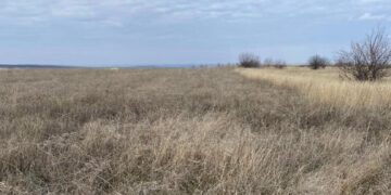 Прокуратура Миколаївщини повернула навчальному закладу 44 га сільгоспземель вартістю 7,6 млн грн | Кримінальні новини