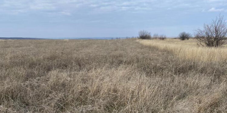 Прокуратура Миколаївщини повернула навчальному закладу 44 га сільгоспземель вартістю 7,6 млн грн | Кримінальні новини