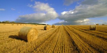 Зеленський назвав терміни проведення земельної реформи