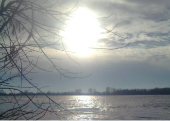 Кам’янська сільрада в Ізмаїльському районі здасть в оренду на 7 років водосховище під рибне господарство