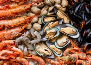 Цікаві факти про морепродукти, які вас здивують