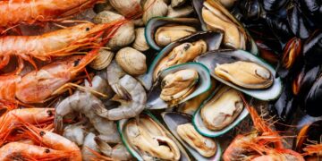 Цікаві факти про морепродукти, які вас здивують
